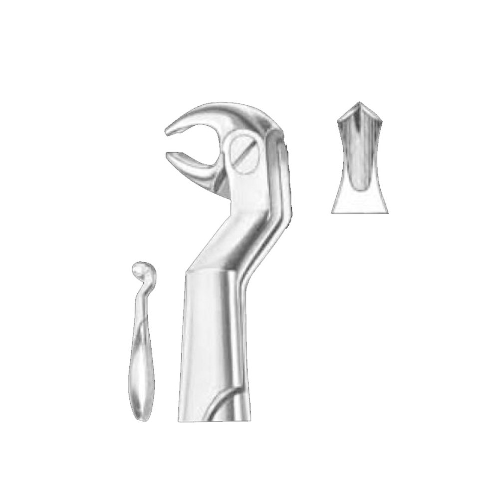 Routurier (#22 1/2L) lower molars and wisdoms, left