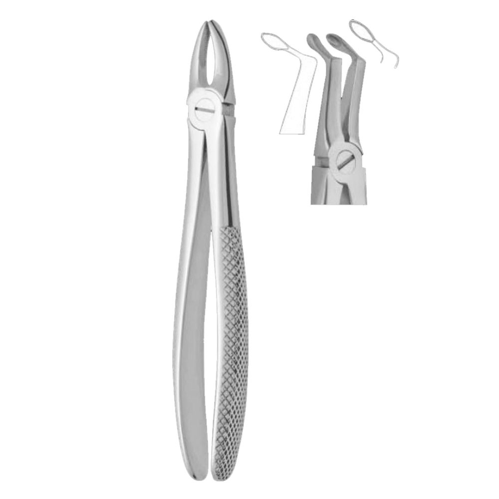 146 Apex Forceps Lower Root Deep Root Pick