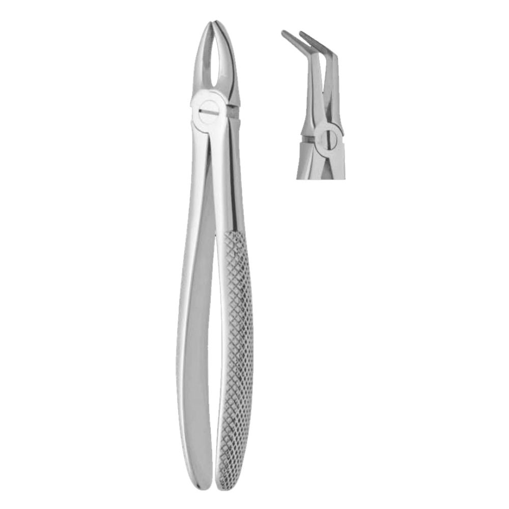 46XL Apex Forceps Lower Root Deep Root Pick