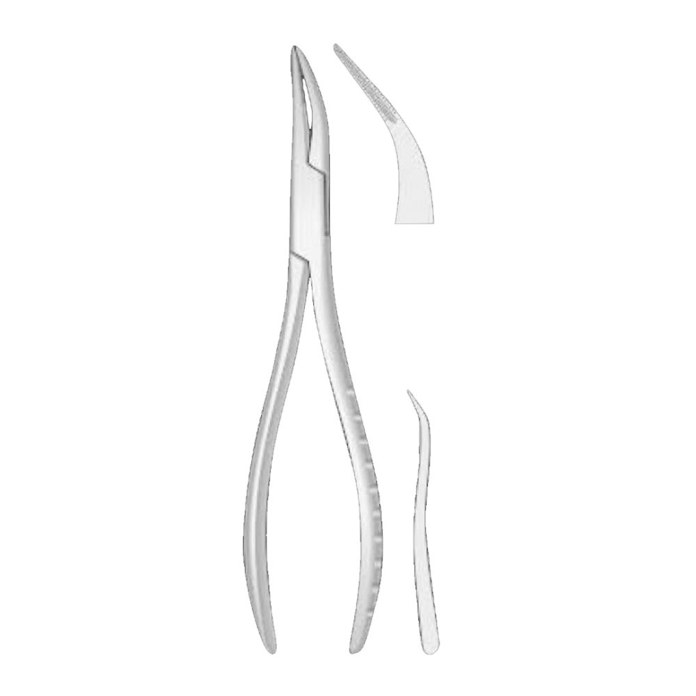 Root Fragment Forceps Upper roots, Universal 165mm