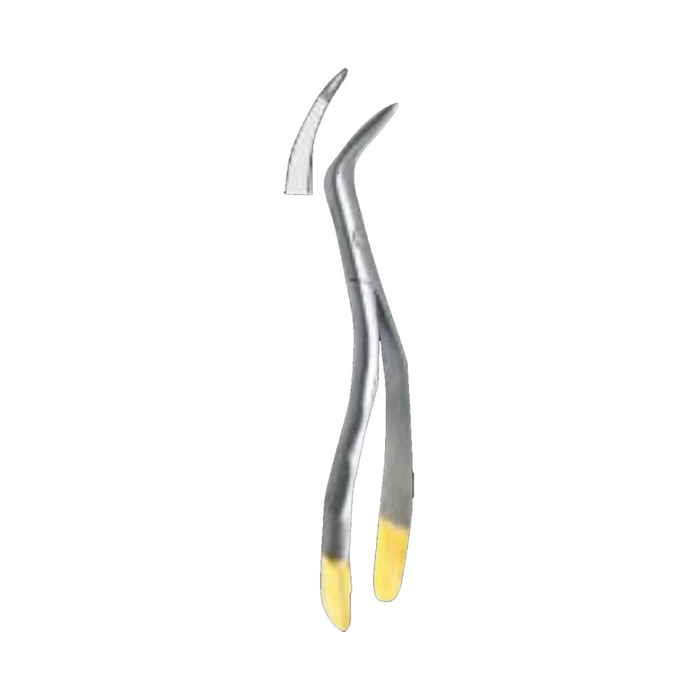 Root Fragment Forceps Lower roots, Universal 160mm