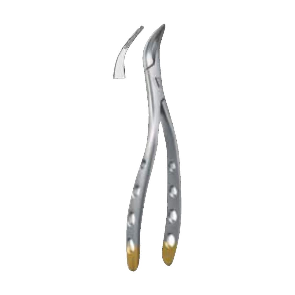 Root Fragment Forceps Upper roots, Universal 165mm