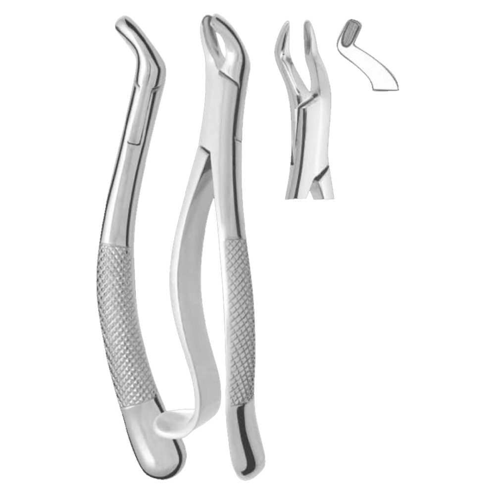 210S Upper Third Molars