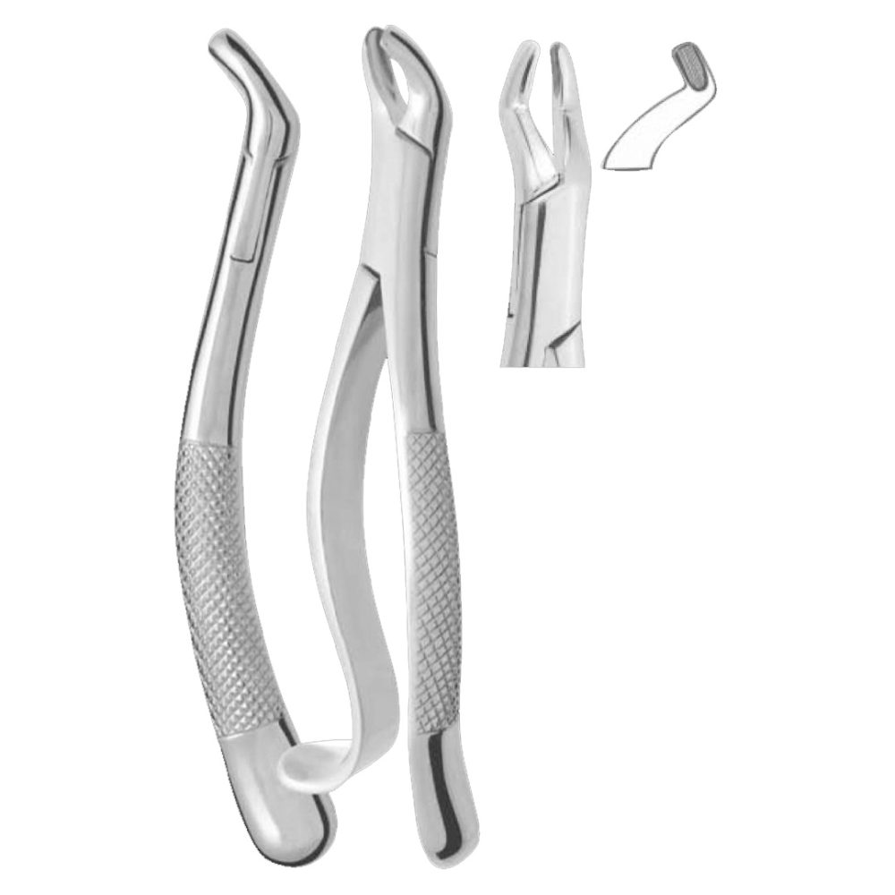 210H Upper Third Molars