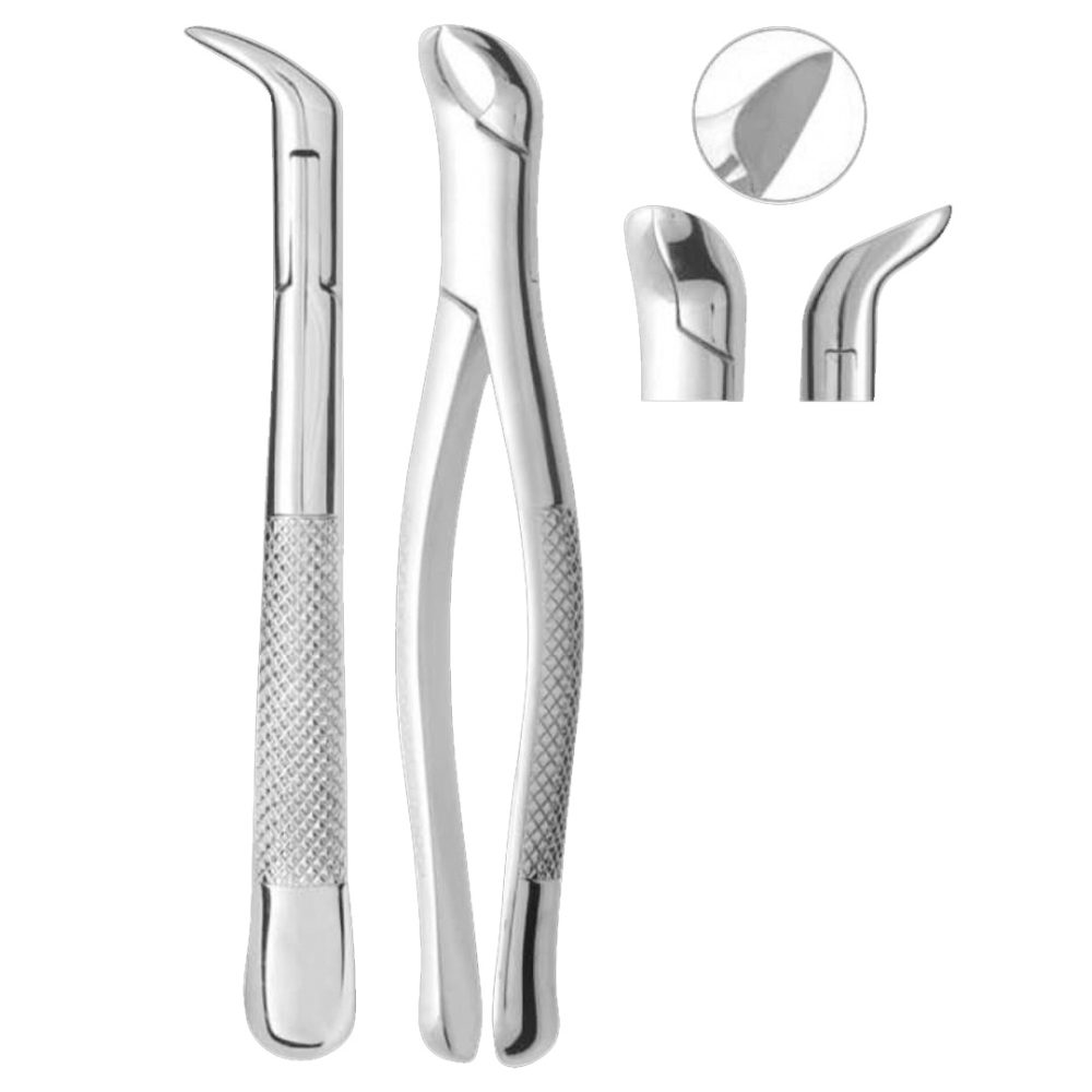 Physic Fig. 5 Lower Third Molars