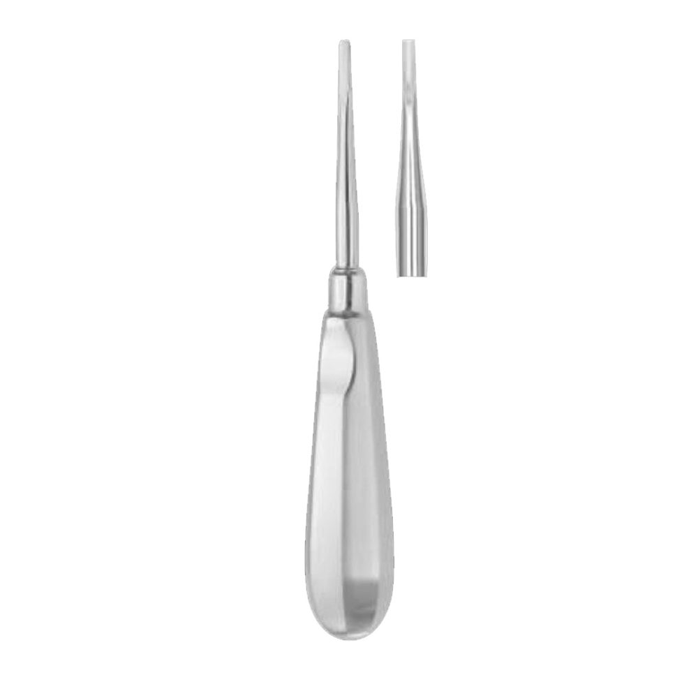 2C Coupland Gouge Lower Molars