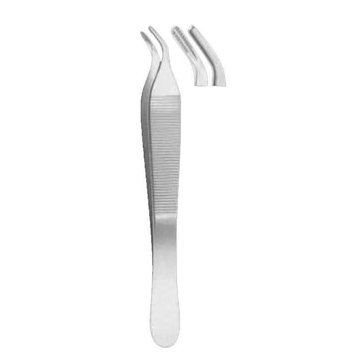 Adson 7×7 Curved Tissue Forceps 7×7 Teeth 12cm